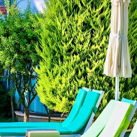 Отель Tropical Deluxe 4*